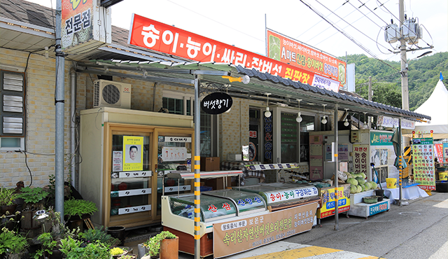 A마트 송이버섯직판장