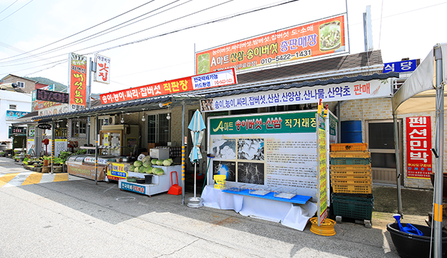 A마트 송이버섯직판장